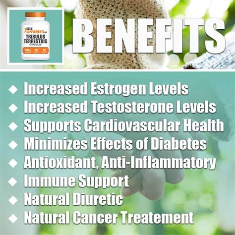 tribulus benefits.